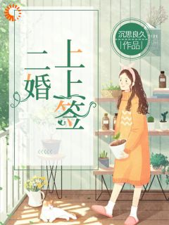 二婚上上签小说全集(苏小米安安)无弹窗广告阅读