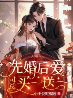 先婚后爱，司总买一送一小说(完结)-林安安司珑夜无删减阅读