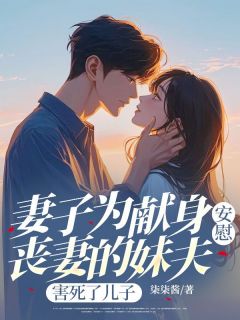 沈傲林静妻子为献身安慰丧妻的妹夫，害死了儿子全文(沈傲林静)章节免费阅读-暗夜阅读网