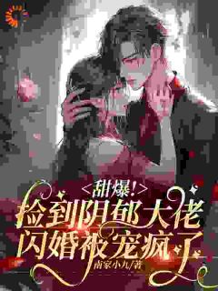 热文甜疯！我捡了个病娇大佬当老公小说-主角宋知暖霍北枭全文在线阅读