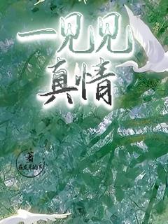 抖音一见见真情小说章节阅读