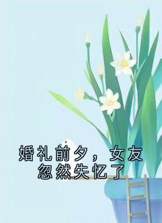 婚礼前夕，女友忽然失忆了精彩章节-婚礼前夕，女友忽然失忆了免费阅读全文-暗夜阅读网