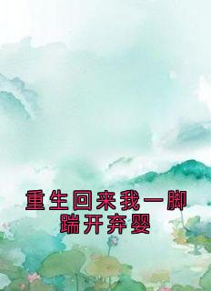 重生回来我一脚踹开弃婴小说最后结局，沈淮之沈晓雪顾清清百度贴吧小说全文免费-暗夜阅读网