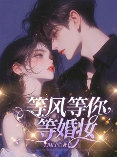 精彩小说等风等你等婚妆苏忘忧秦白夜全章节在线阅读