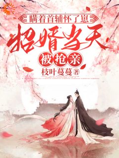 崔令宜裴砚声瞒着首辅怀了崽，招婿当天被抢亲完结版小说全文免费阅读