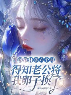 精彩小说清羽季泊淮试管怀孕六个月，得知老公将我卵子换了全文目录畅读