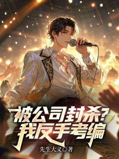 先生大义的小说被公司封杀？我反手考编全文阅读