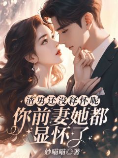 渣男还没释怀呢？你前妻她都显怀了完整版-沈书欣傅程宴言司礼在线全文阅读