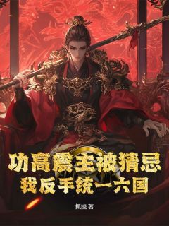 好文热推小说功高震主被猜忌？我反手统一六国主角林羽周冰雪全文在线阅读