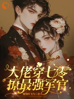 主角是叶婉婉叶青山的小说叫什么大佬穿七零撩最强军官免费全文阅读