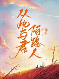 从此与君陌路人（萧璟辰瑶瑶）精彩小说目录阅读