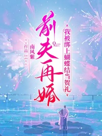 前夫再婚，我被绑上蝴蝶结当贺礼小说-顾夏里陆风迟全篇阅读-暗夜阅读网
