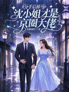 作者姹紫嫣红写的分手后掉马，沈小姐才是京圈大佬小说大结局全章节阅读