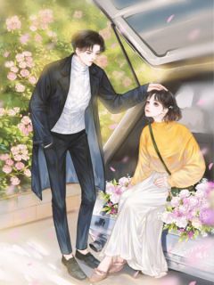 离婚后，我成了前夫高攀不起的痛苏昭宁顾承远小说_离婚后，我成了前夫高攀不起的痛完结版阅读