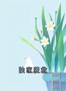 独家获救林微沈行川秦野小说全文阅读-暗夜阅读网