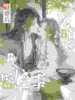 新上不当话本人物，主母和离惹上权臣柠檬松子小说免费阅读-暗夜阅读网