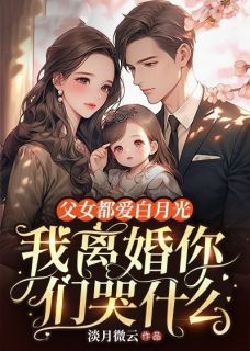 父女都爱白月光，我离婚你们哭什么by凌夕颜傅珩傅司聿在线阅读