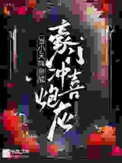 当小天师穿成豪门冲喜炮灰by夜雨妆红小说完结版在线阅读