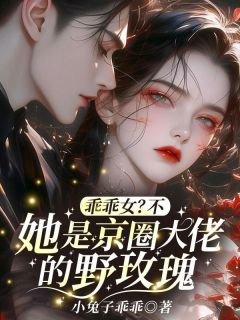 小兔子乖乖写的小说乖乖女？不，她是京圈大佬的野玫瑰许漾沈砚全文阅读