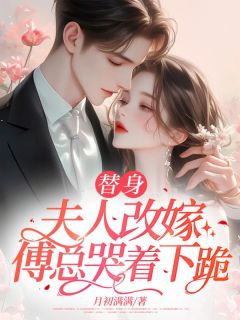 全章节小说替身夫人改嫁，傅总哭着下跪月初满满最新阅读-暗夜阅读网