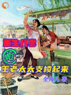 重生八零：彪王老太太支棱起来王淑琴赵有才全章节在线阅读