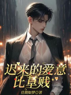 全网首发完整小说迟来的爱意比草贱主角沈云初霍司宴在线阅读