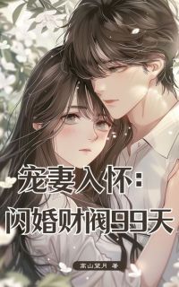 宠妻入怀：闪婚财阀99天小说免费阅读 梁悦盛霆峰大结局完整版