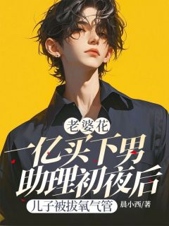 火爆老婆花一亿买下男助理初夜后，儿子被拔氧气管小说，主角是段淮川傅晚卿在线阅读全文无删减