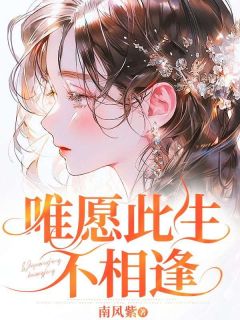唯愿此生不相逢方心澜陆景迟全本小说（唯愿此生不相逢）全章节小说目录阅读