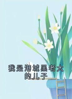 我是港城黑老大的儿子小说(连载文)-周皓轩江凡无广告阅读