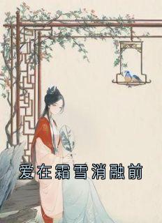 爱在霜雪消融前在线阅读 阮荷夜无烬免费小说精彩章节