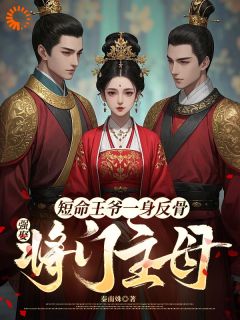 卫芙嫁给萧将军的第三年小说的书名是什么