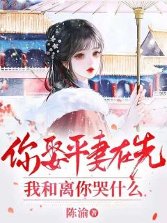 你娶平妻在先，我和离你哭什么主角是穆月璃陆戚风小说百度云全文完整版阅读