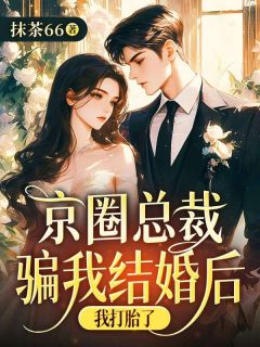 京圈总裁骗我结婚后，我打胎了小说(完结)-宁甯何菱纱无删减阅读