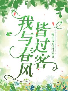 我与春风皆过客免费阅读全文，主角沈青栀陆宴小说完整版最新章节