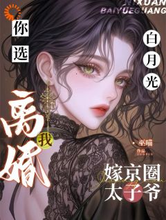 宋弋周庭风主角的小说完结版你选白月光，我离婚嫁京圈太子爷全集