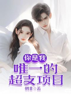 你是我唯一的超支项目是什么小说林小满祁浩全本免费阅读