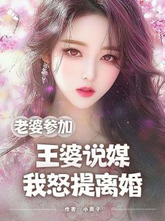 完整版老婆参加王婆说媒，我怒提离婚张龙刘兰小说免费在线阅读