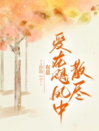裴厌铮许曼主角小说爱在飓风中散尽抖音文免费阅读全文