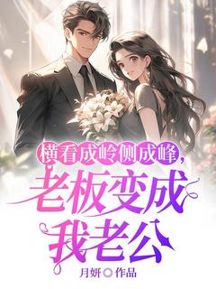 免费完结小说横看成岭侧成峰，老板变成我老公乔曦姜堰无弹窗免费阅读