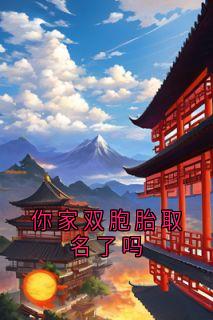 你家双胞胎取名了吗沈唐周周瞬你家双胞胎取名了吗全文免费阅读【完整章节】-暗夜阅读网