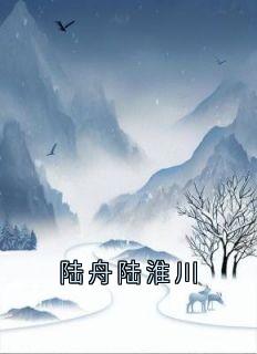 陆舟陆淮川免费章节陆舟陆淮川点我搜索全章节小说