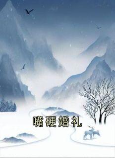 嘴硬婚礼秦冉陆舟最新章节在线阅读