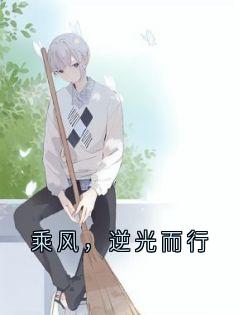 小说推荐乘风，逆光而行完结版全章节阅读-暗夜阅读网