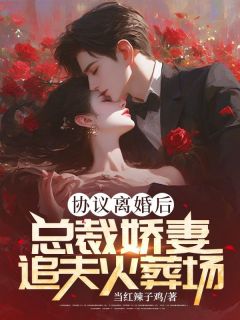 抖音爆款协议离婚后，总裁娇妻追夫火葬场完整小说（全文阅读）