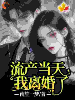 抖音热推小说流产当天，我离婚了全文在线阅读