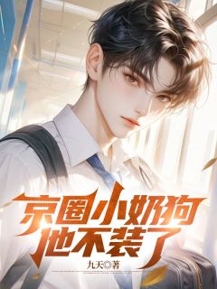 正版小说京圈小奶狗他不装了陈凡苏傲雪在线免费阅读