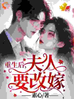 （全本）重生后，夫人要改嫁主角许星灿慕容楚全文目录畅读