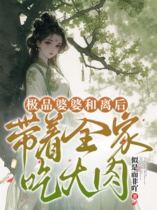 爆款小说极品婆婆和离后，带着全家吃大肉主角叶清音苏生全文在线完本阅读