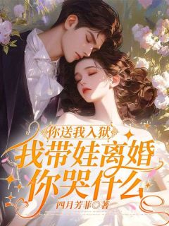 顾红厉寒忱小说你送我入狱，我带娃离婚你哭什么免费阅读-暗夜阅读网
